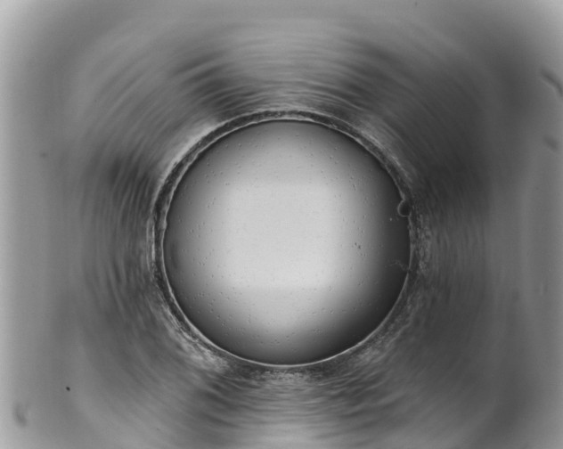 X0000102291076200808011508