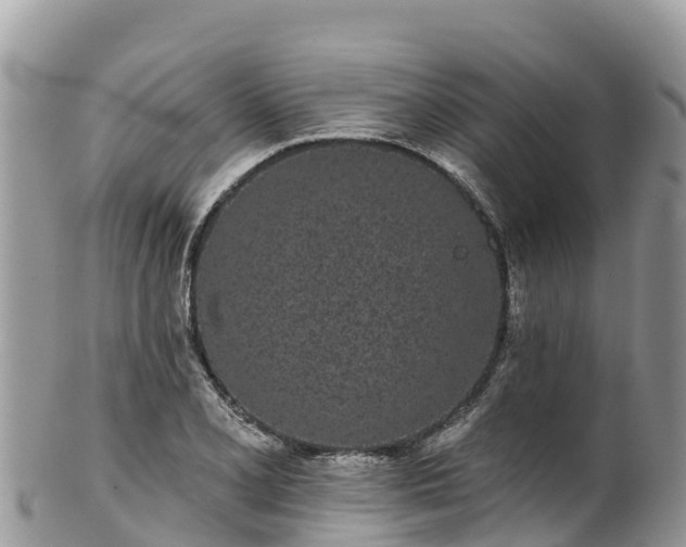 X0000102291077200808011508