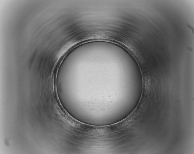 X0000102291078200808011508