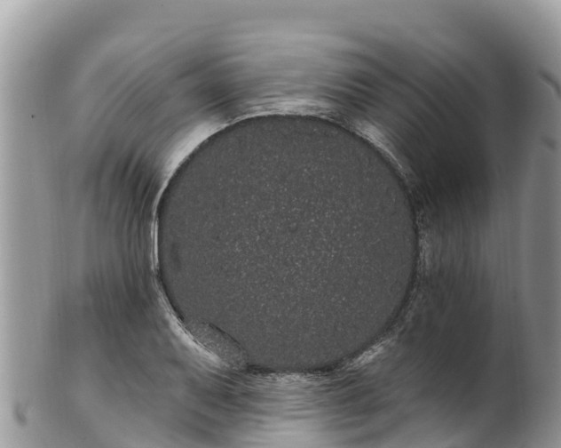 X0000102291079200808011508