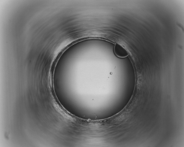 X0000102291080200808011508