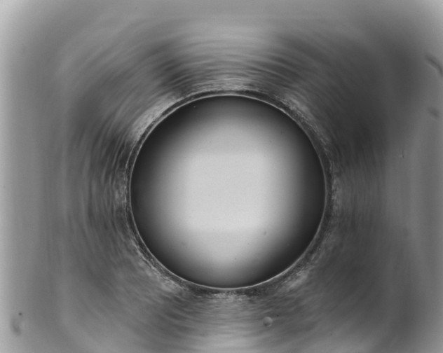 X0000102291081200808011508