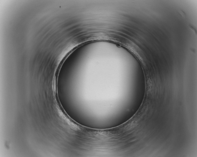 X0000102291084200808011507