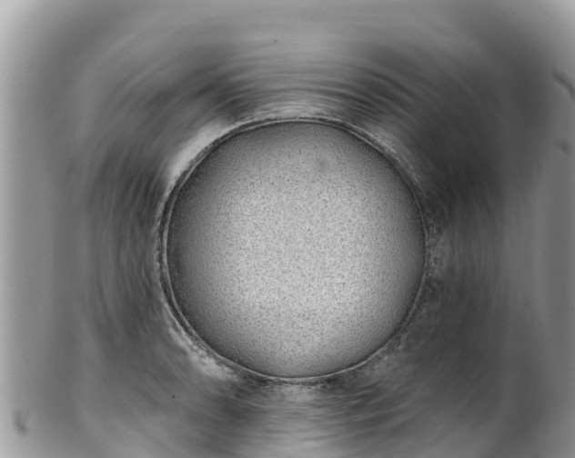 X0000102291086200808011507