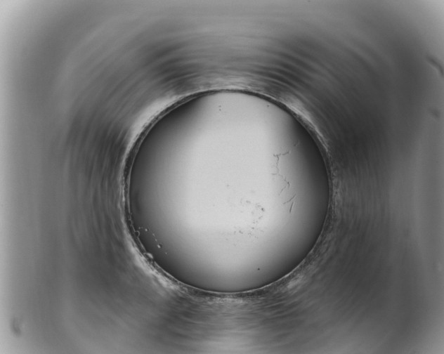 X0000102291088200808011507