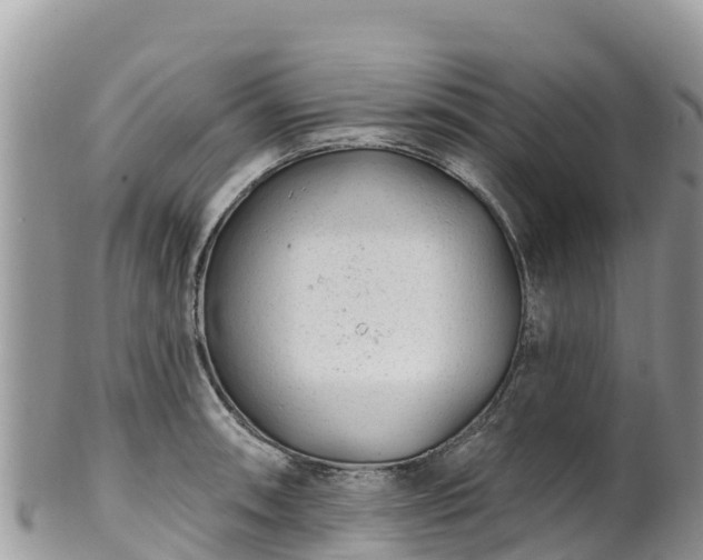 X0000102291090200808011507