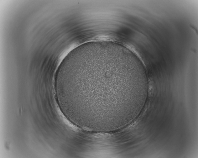 X0000102291091200808011507