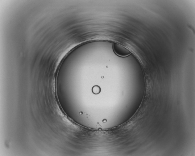 X0000102291092200808011507