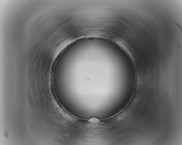 X0000102291093200808011507