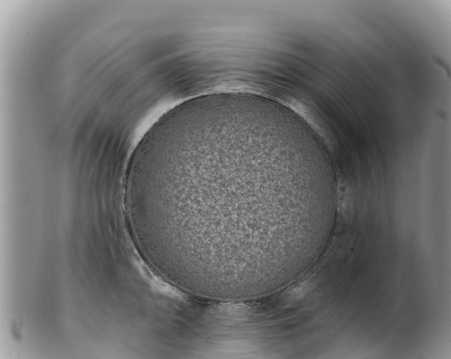 X0000102291094200808011507