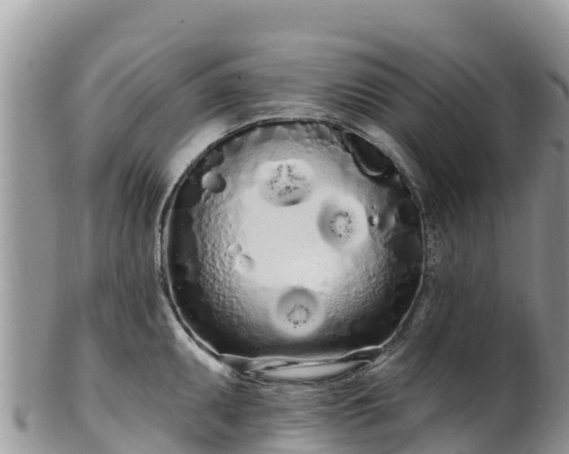 X0000102291095200808011507