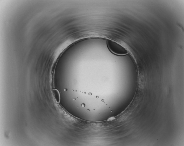 X0000102291096200808011507