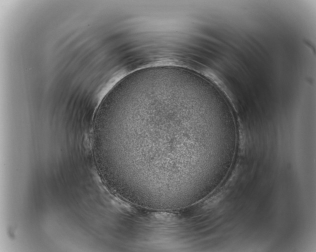 X0000102291097200808011507