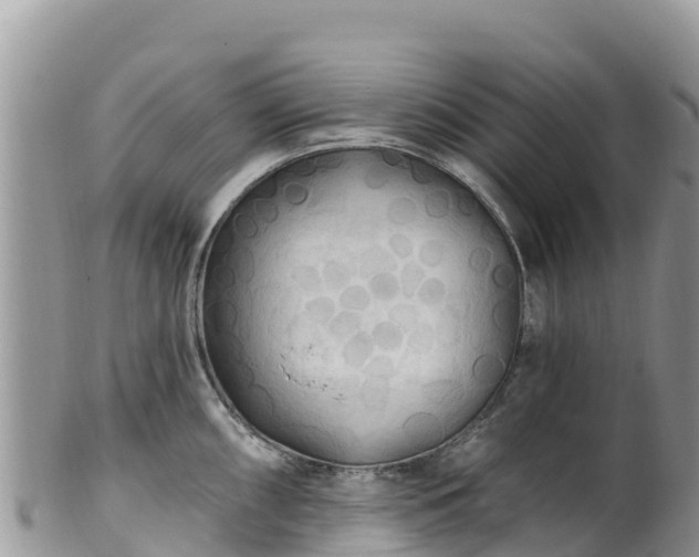 X0000102291098200808011507