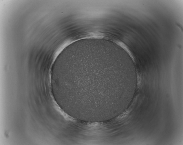 X0000102291099200808011507