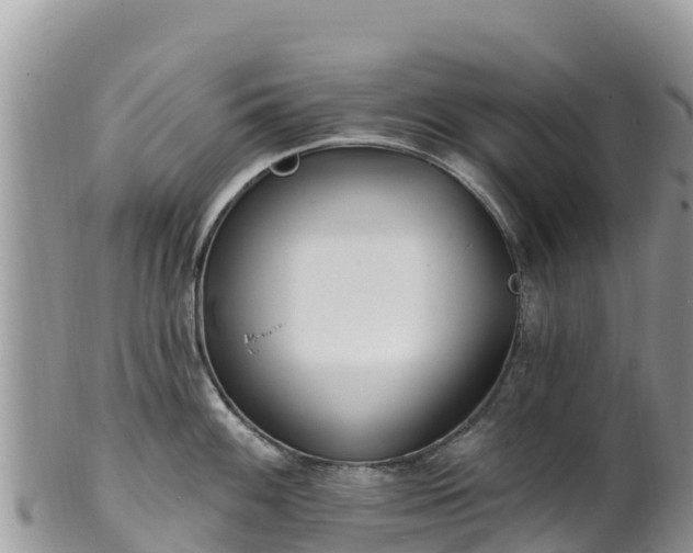 X0000102291100200808011507