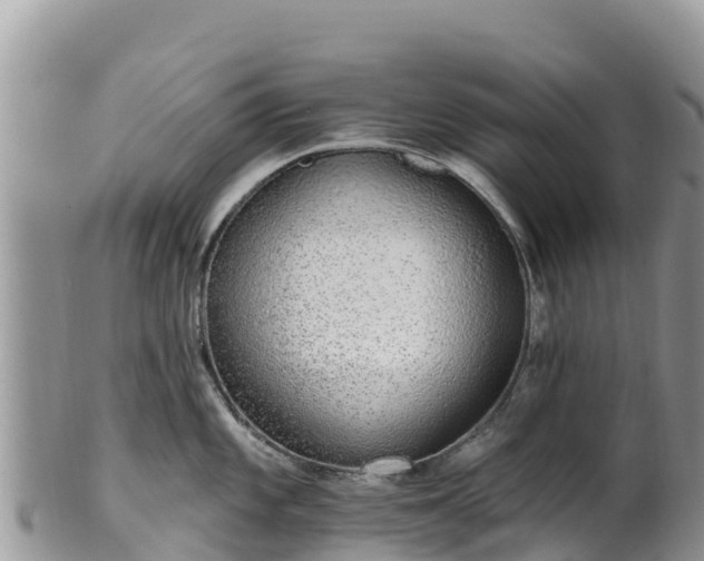 X0000102291101200808011507