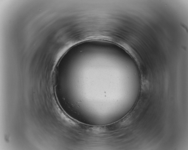 X0000102291102200808011507