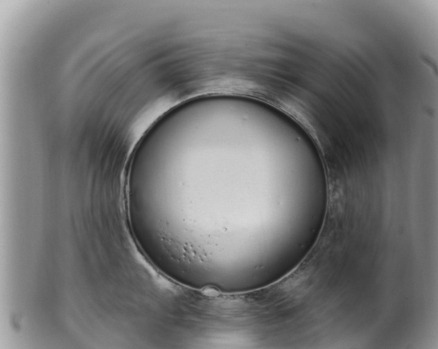 X0000102291103200808011507