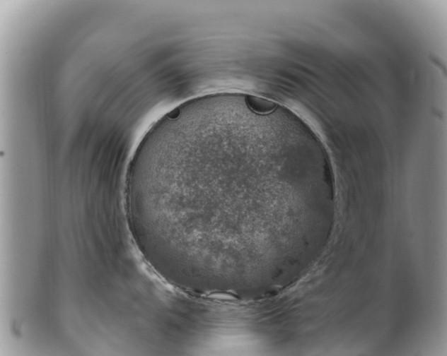 X0000102291104200808011507