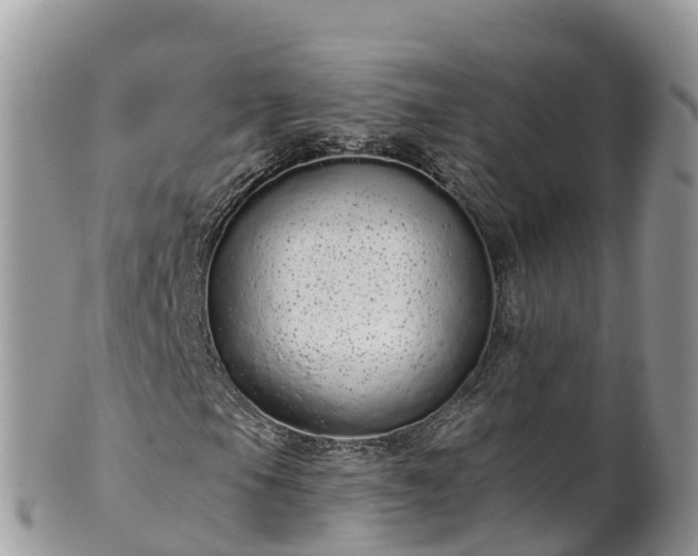 X0000102291105200808011507