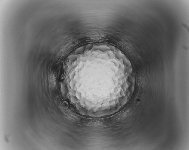 X0000102291106200808011507