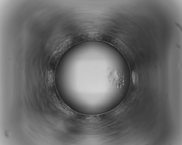 X0000102291107200808011507