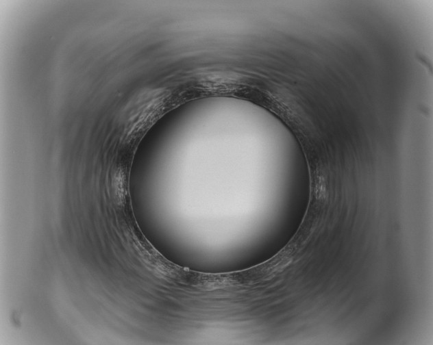 X0000102291108200808011507