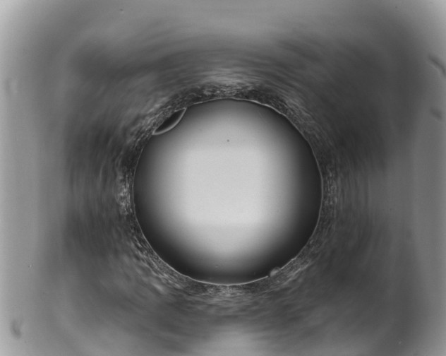 X0000102291109200808011507