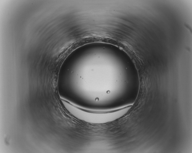 X0000102291110200808011507