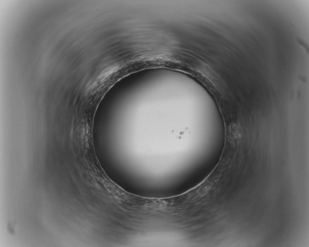 X0000102291111200808011507