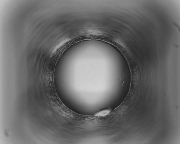 X0000102291112200808011507