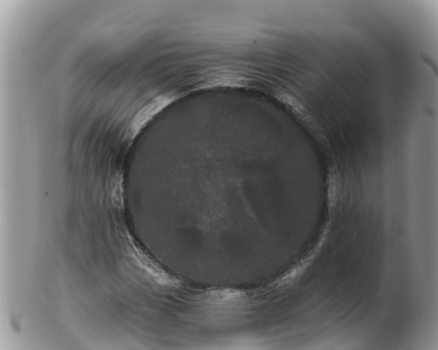 X0000102291113200808011507