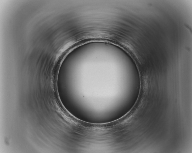 X0000102291114200808011507