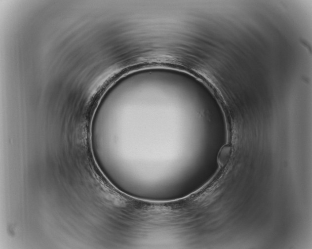 X0000102291115200808011507