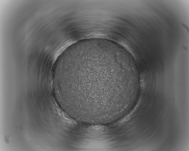 X0000102291117200808011507