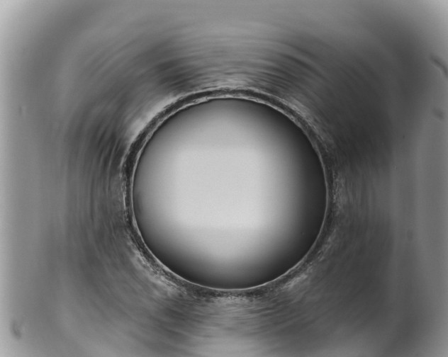 X0000102291118200808011507