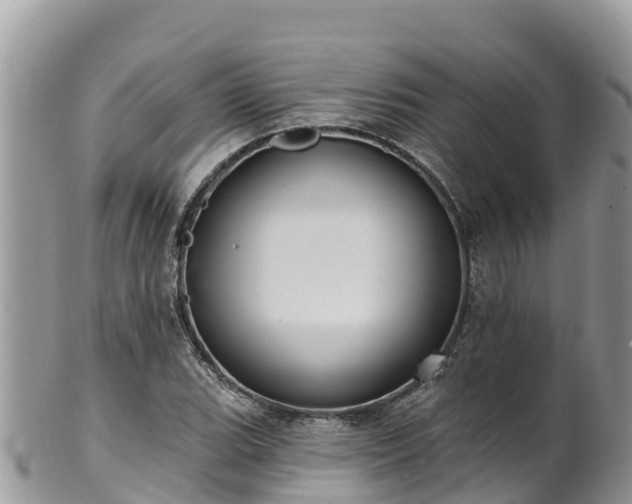 X0000102291119200808011507