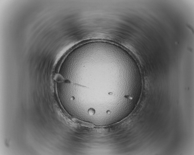 X0000102291120200808011507