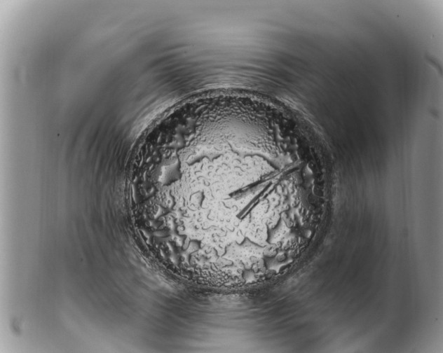 X0000102291121200808011507