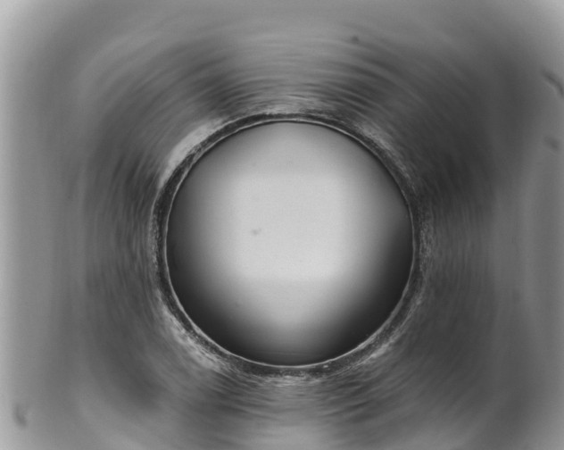 X0000102291122200808011507