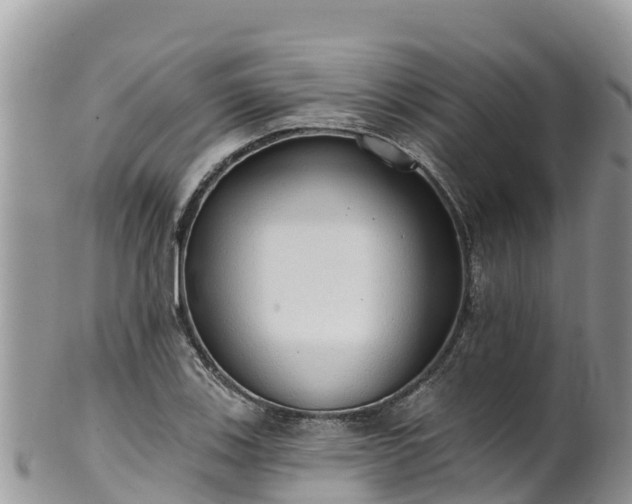 X0000102291123200808011507