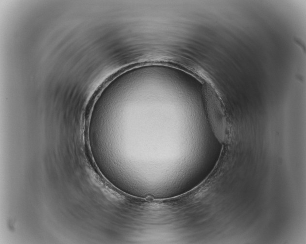 X0000102291124200808011507