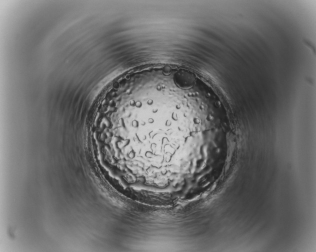 X0000102291125200808011507