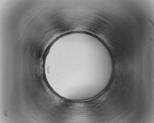 X0000102291126200808011507