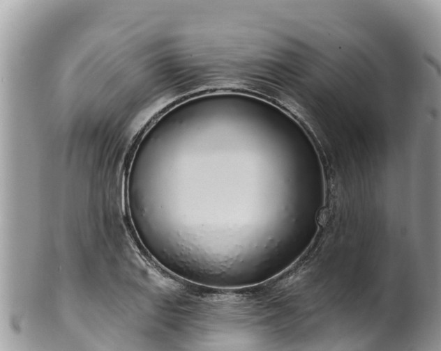 X0000102291127200808011507