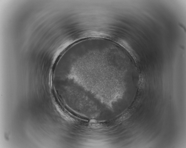 X0000102291128200808011507