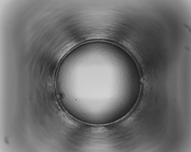 X0000102291129200808011507