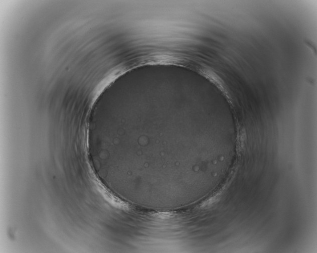 X0000102291130200808011507