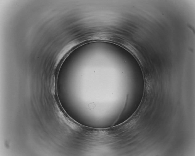 X0000102291131200808011507